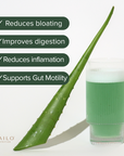 Feel Well (Gut Health Collagen Blend) - Peppermint 25g single serve