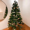 RizeUp for Christmas at KAILO