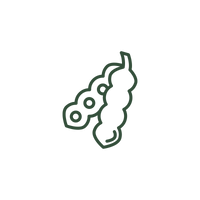 15g Fava Bean Protein